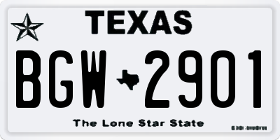 TX license plate BGW2901