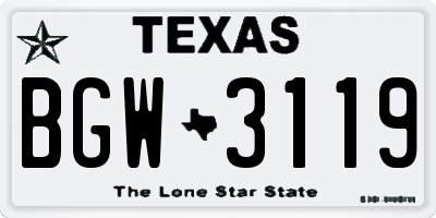 TX license plate BGW3119