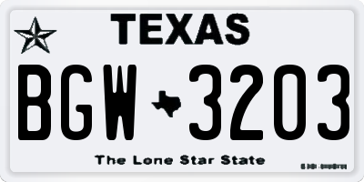 TX license plate BGW3203