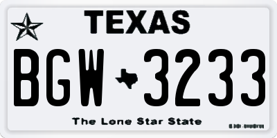 TX license plate BGW3233