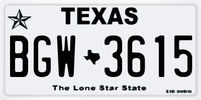 TX license plate BGW3615