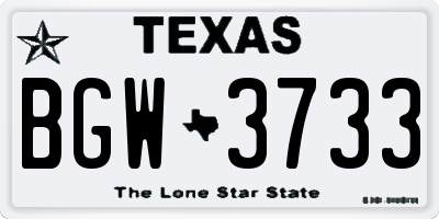 TX license plate BGW3733