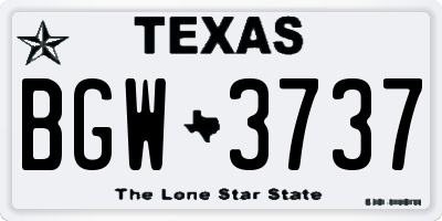 TX license plate BGW3737