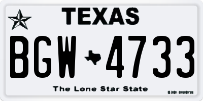 TX license plate BGW4733