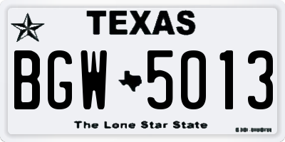 TX license plate BGW5013