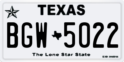 TX license plate BGW5022