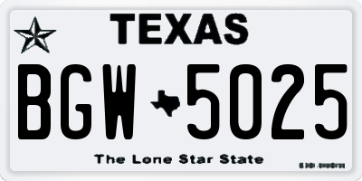 TX license plate BGW5025