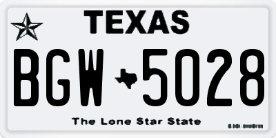 TX license plate BGW5028