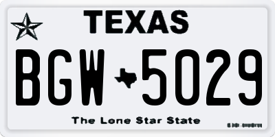 TX license plate BGW5029