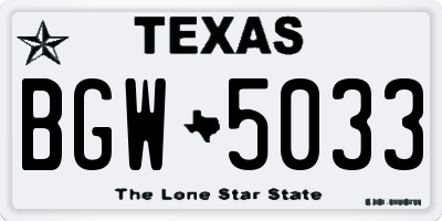 TX license plate BGW5033