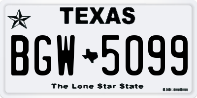 TX license plate BGW5099