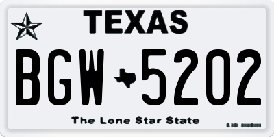 TX license plate BGW5202