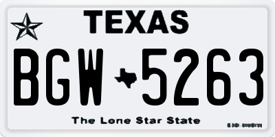 TX license plate BGW5263