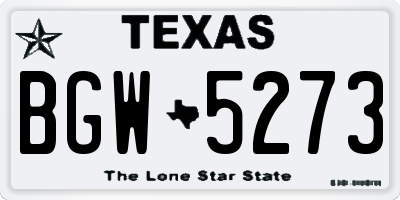 TX license plate BGW5273