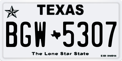 TX license plate BGW5307