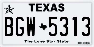 TX license plate BGW5313