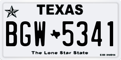 TX license plate BGW5341