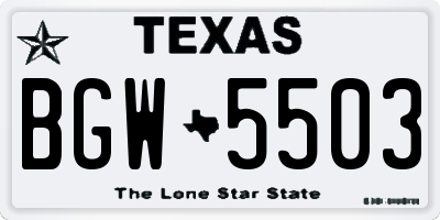 TX license plate BGW5503