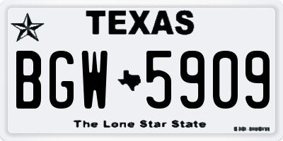 TX license plate BGW5909
