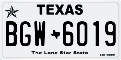 TX license plate BGW6019