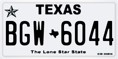 TX license plate BGW6044