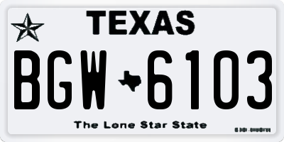 TX license plate BGW6103