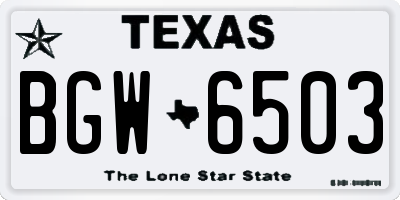 TX license plate BGW6503