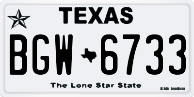 TX license plate BGW6733