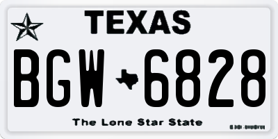 TX license plate BGW6828