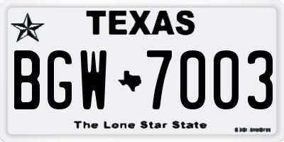 TX license plate BGW7003