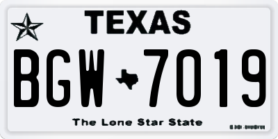 TX license plate BGW7019