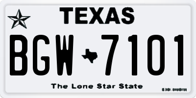 TX license plate BGW7101