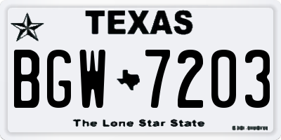 TX license plate BGW7203
