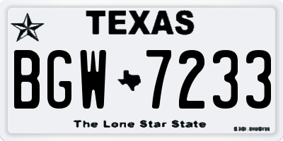 TX license plate BGW7233