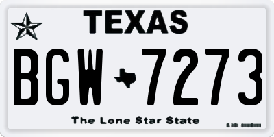 TX license plate BGW7273