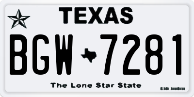 TX license plate BGW7281