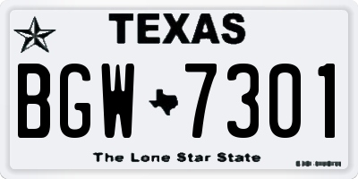 TX license plate BGW7301
