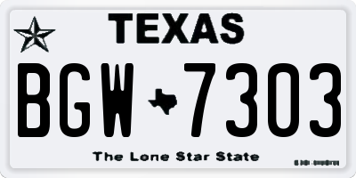 TX license plate BGW7303