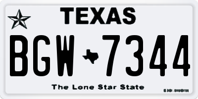 TX license plate BGW7344