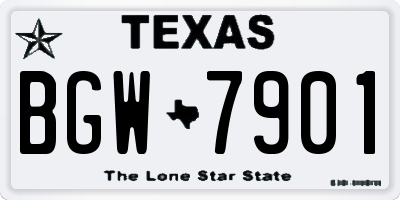 TX license plate BGW7901