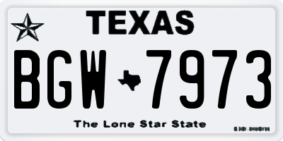 TX license plate BGW7973