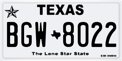 TX license plate BGW8022