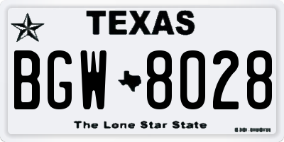TX license plate BGW8028