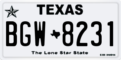 TX license plate BGW8231