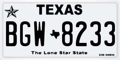 TX license plate BGW8233