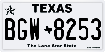 TX license plate BGW8253