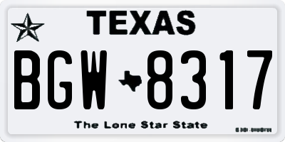 TX license plate BGW8317