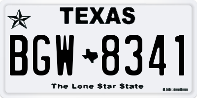TX license plate BGW8341