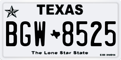 TX license plate BGW8525