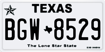TX license plate BGW8529